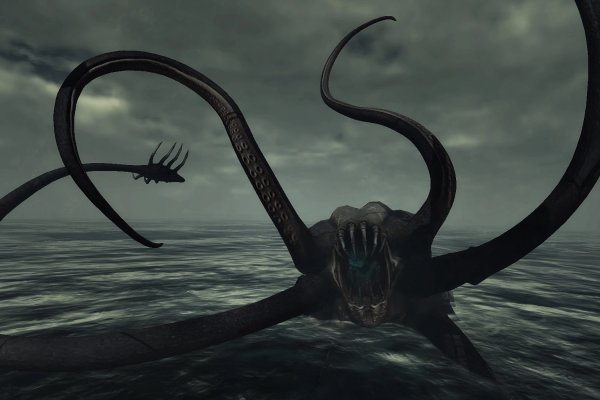 Kraken official