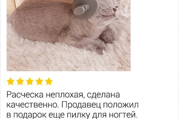 Кракен как войти через тор