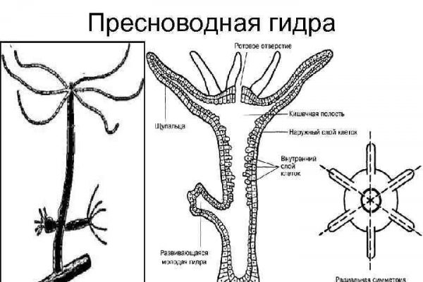 Кракен не работает сегодня